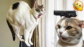 Best Funny Animal Videos Funniest Cats /Dog Videos 2024 #3