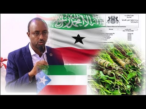 Puntland Oo Xadka Ka Xidhatay Somaliland Iyo Deegaanka Soomaalida, Jaadkiina Joojisay