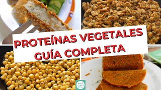 Top 5 VEGAN PROTEINS | The BEST sources of PLANT-BASED PROTEIN