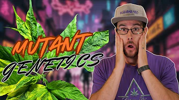 THESE are the CRAZIEST PLANTS I'VE EVER SEEN!!