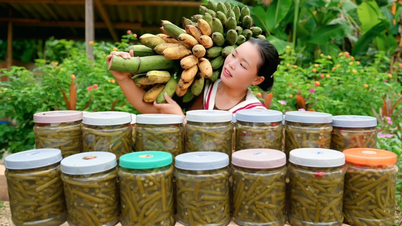 Harvesting Green Beans - How to Make Simple Pickles From Green Beans | Trieu Mai Huong.