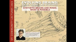 Evolving Brains: Solid, Liquid and Synthetic