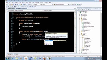 Creating Custom Annotations Validation Attribute Using ASP.NET MVC Framework
