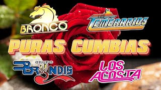 LOS TEMERARIOS, LOS ACOSTA, BRYNDIS, BRONCO / ROMÁNTICAS DEL AYER / 40 GRANDES ÉXITOS DE CUMBIA by Canciones de Gruperas 22,681 views 1 month ago 1 hour, 13 minutes