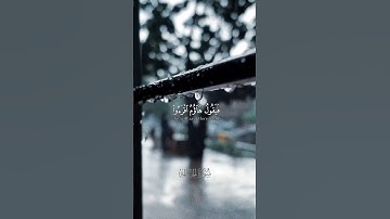 فامامن اوتي كتابه | سورة الحاقة #murottalseries