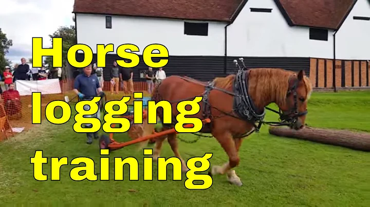 Horse logging training for working horses uk