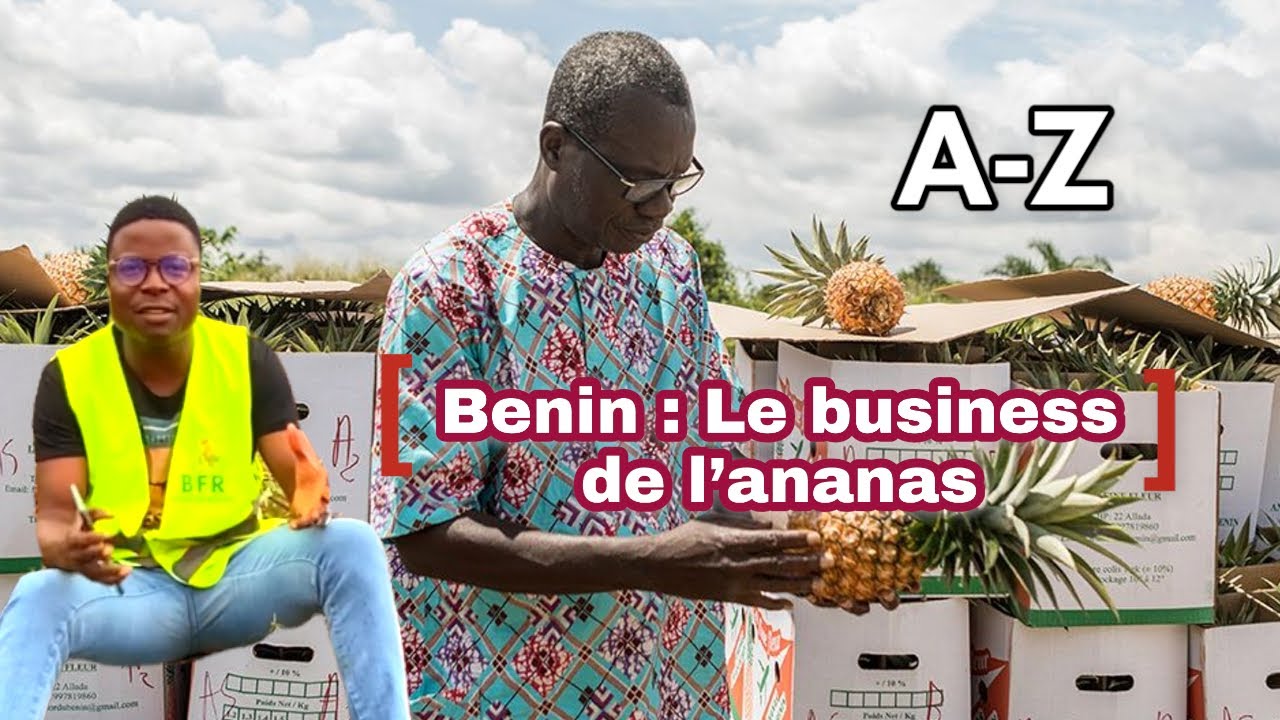 Bénin: Le Businesss de l’ananas.