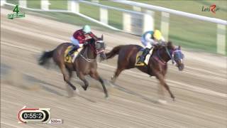 20160806 렛츠런파크 부산경남 4경주 1300m