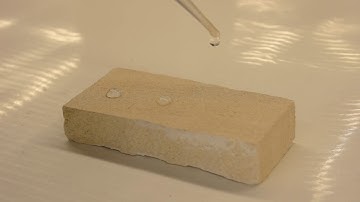 Conservation Lab Video Tour