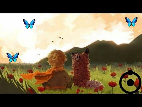 🦊MiSide React | VMZ| ‎ pequeno principe| feat. Carol Valença🌹