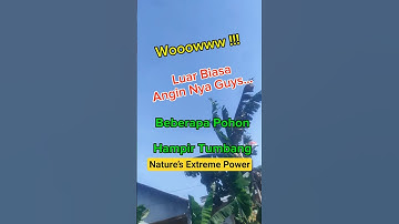 WOWWW! Angin Mengerikan Hampir Tumbangkan Pohon 🌪️ | Nature’s Extreme Power #shorts #viralshorts