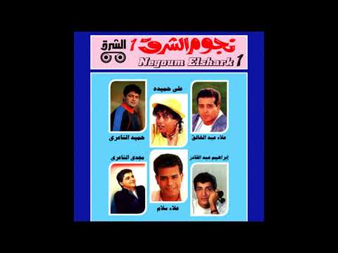 فارس يا طاير