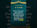 Everything Was Created for a Purpose  #quran #quranictranslation #quraninenglish