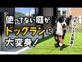 うれしくて大興奮♪使ってない庭がドッグランに大変身！【1歳0ヶ月バーニーズ】
