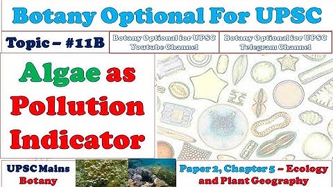 Algae As Water Pollution Indicator: Phytoplanktons: Desmids: Diatoms: Algae As Biological Indicator