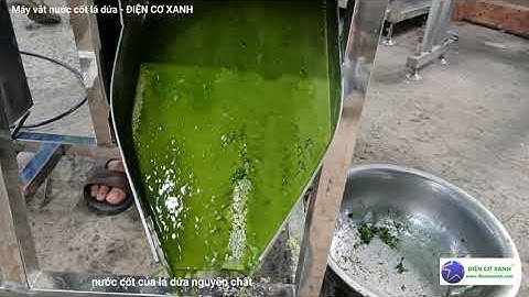 Máy vắt nước cốt lá dứa nguyên chất, máy ép công nghiệp - ĐIỆN CƠ XANH 0984467870