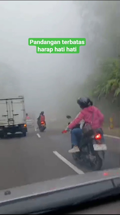 Why is the focus on the red shirt on his hand? #viralshort #viralvideo #road #foggy #caitihati #s...