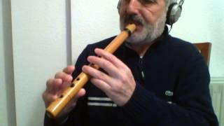 Video voorbeeld van "Lugia's song (Pokemon 2000) - Quena flute"