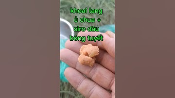 P045. Mồi câu cá mè đơn giản. Nhật ký câu cá #shorts