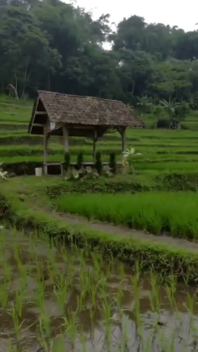 story wa || layang kangen  Deny caknan