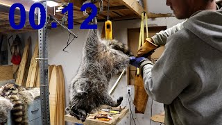 Air Skinning a Raccoon. (Traditional vs. Air)