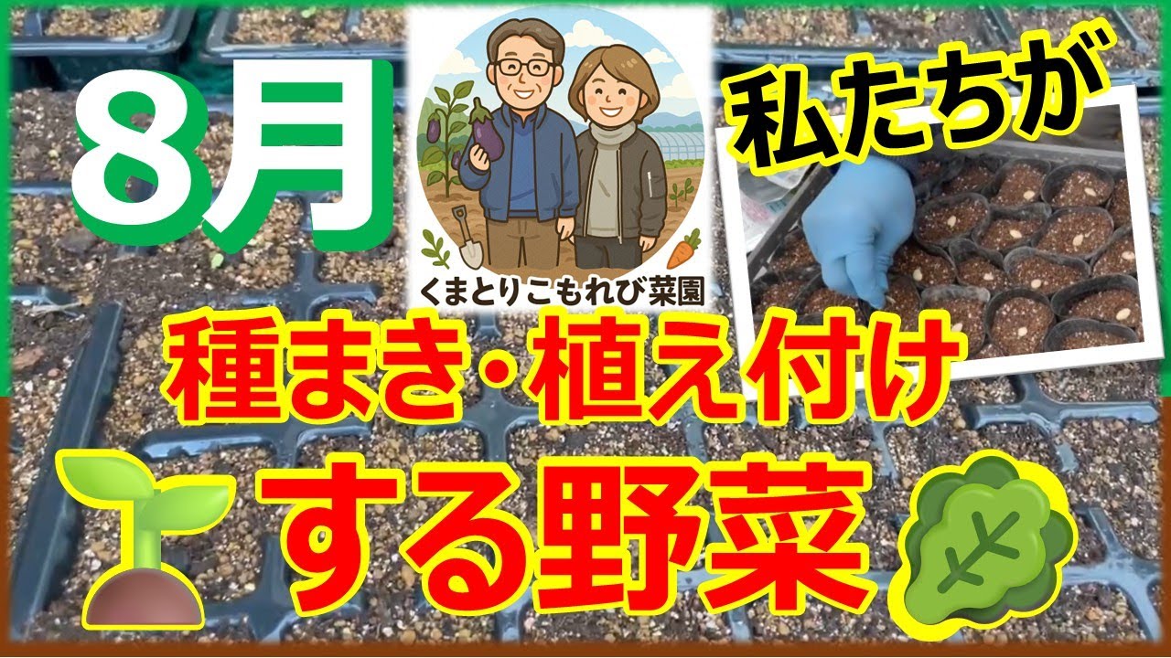 Vegetables that we (Kumatori Komorebi Garden) will sow and plant