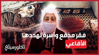 أسرة تحاصرها الأفاعي والعقارب تعيش الفقر المذقع