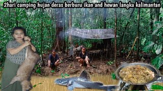 Download Lagu 2hari camping fishing hujan deras berburu hewan langka kalimantan MP3 Download Lagu 2hari camping fishing hujan deras berburu hewan langka kalimantan MP3