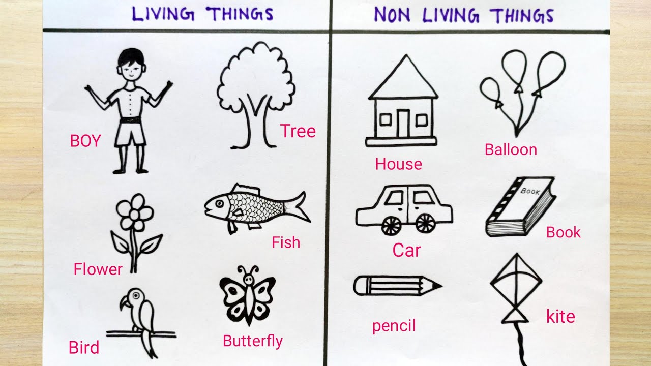 How to sketch of living and non-living things| Living things ...