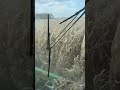 Continuing on with the 2022 Corn Harvest