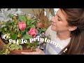 Vlog 137  jardinage  haul dco