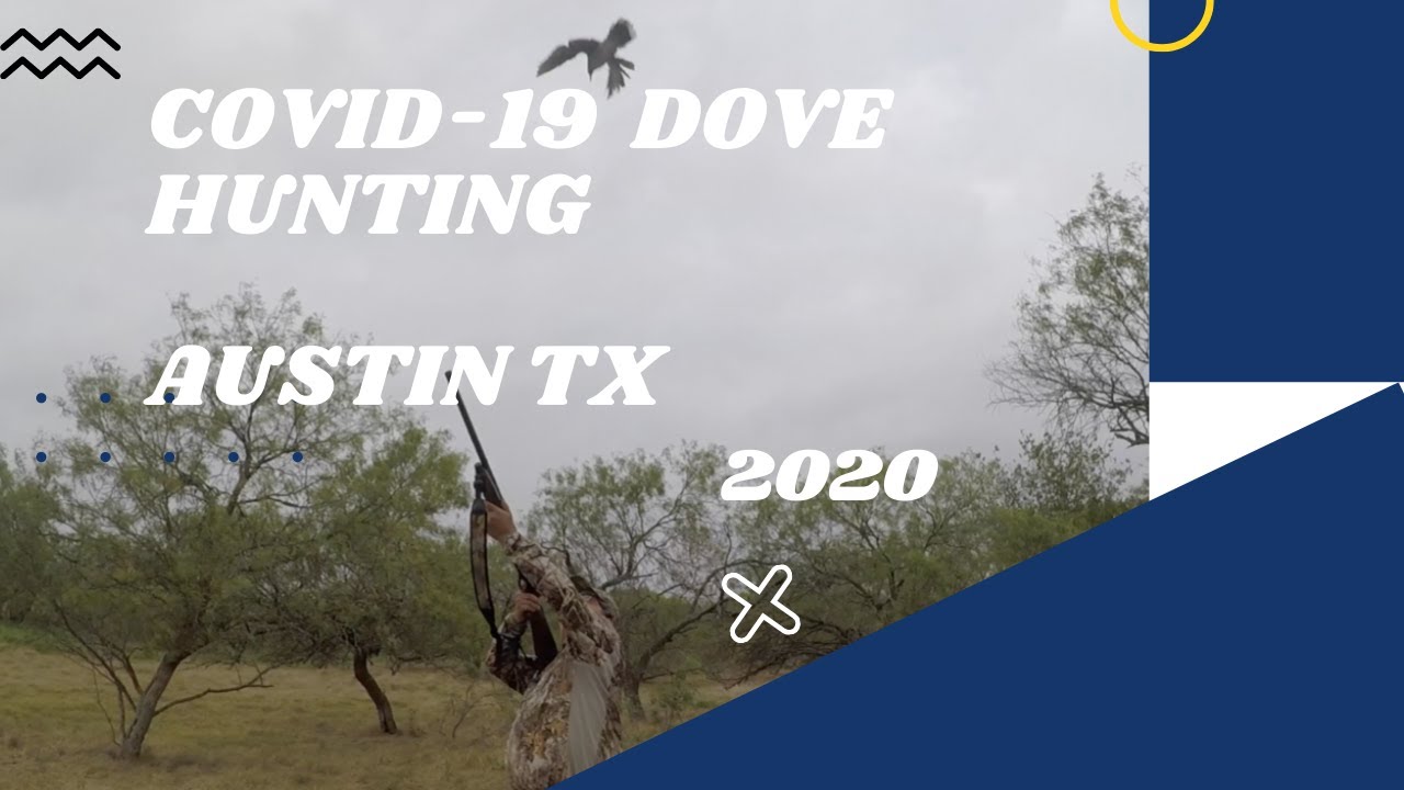 Austin R. Dove Dove Hunting near Austin TX - YouTube