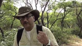 The 7Ps of wilderness survival