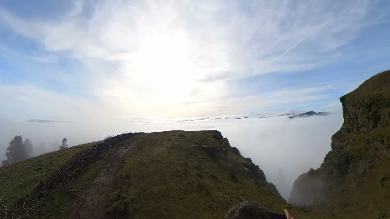 Catherine Creek and Coyote Wall Loop 