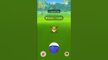 Shiny Hunting During Eevee Community Day #Shorts #PokemonGo #ShinyEevee