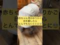 赤ちゃんのゆりかごから目を離してはいけない理由#赤ちゃん#ゆらゆら#目を離した隙に#猫