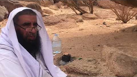 دحيم الحماد 1442هـ تلاوة من سورة هود
