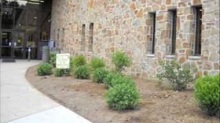 Secret Garden at the Chester County Library