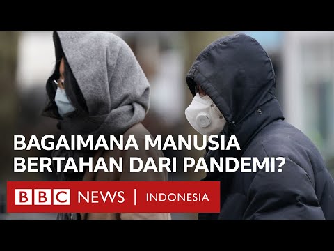 pandemi-covid-19:-vaksin-dan-bagaimana-manusia-bertahan?---bbc-news-indonesia