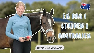 En Dag I Stalden I Australien Ft. Min Nye Hest