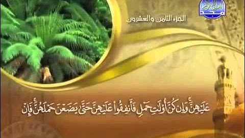 سورة الطلاق من 4   7 مااااهر