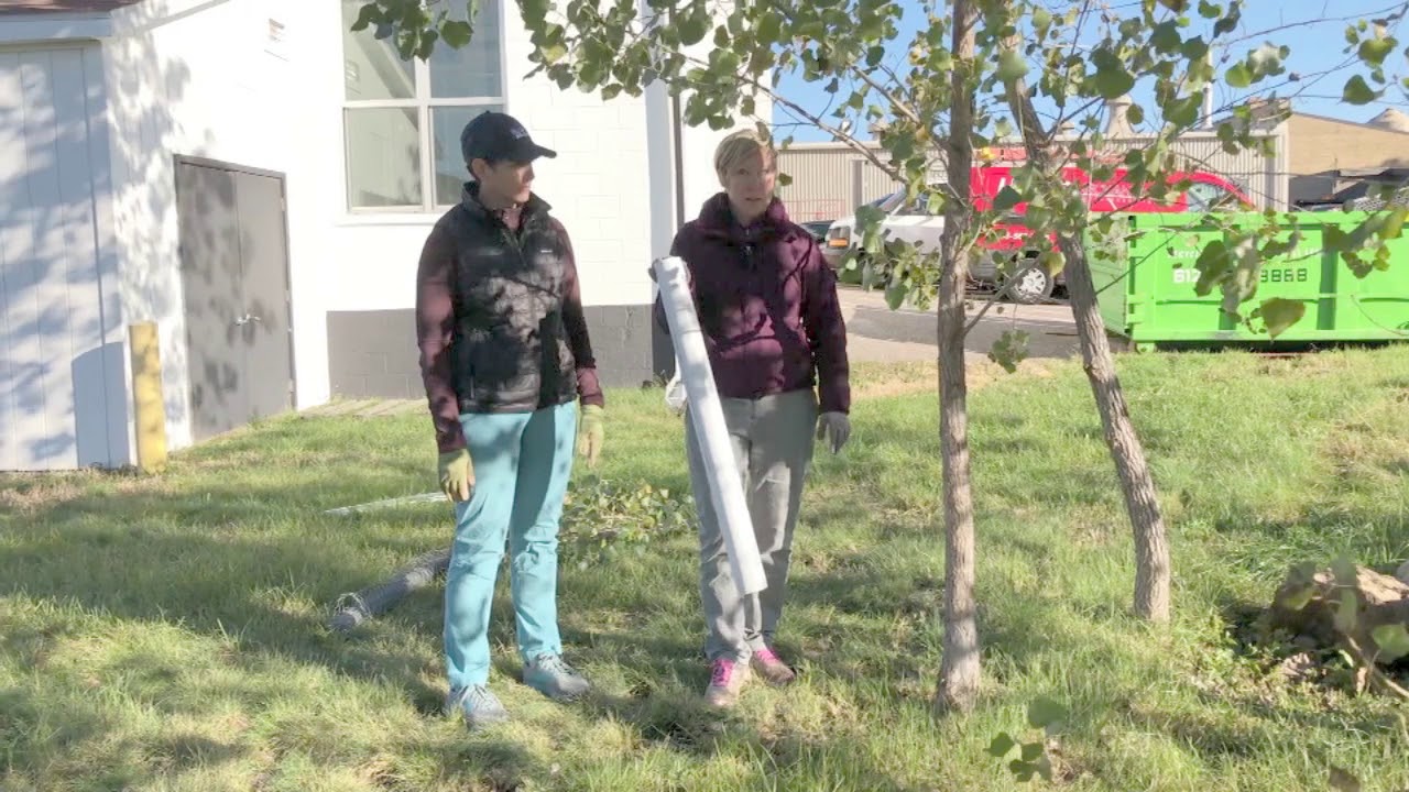 Ann and Carolyn demonstrate winter protection for trees and shrubs video thumbnail