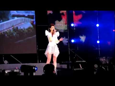 2011/12/31 『安心亞：我可以很勇敢』〈2012 綻放精彩 i桃園跨年〉