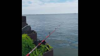 Shallows and A10's putting on a show. Milwaukee Wisconsin.