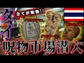 タイ最大級の呪物市場に潜入したら呪われました…【タイ旅行】【バンコク】【オカルトコレクター】
