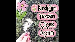 Sefam Olsun Bülent Ersoy Resimi