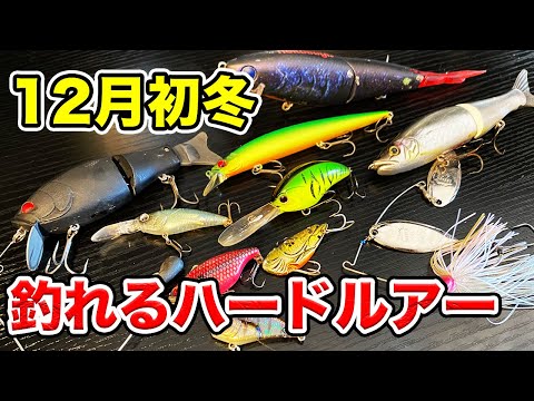 【冬のバス釣り】12月初冬のおすすめルアーは?使い方や使い時も合わせて解説してみた【ハードルアー編】