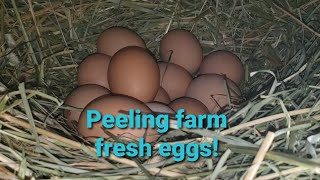 Easy way to peel farm fresh eggs!