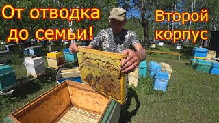 От ОТВОДКА до СЕМЬИ! РАСШИРЕНИЕ, ставим вторые корпуса!