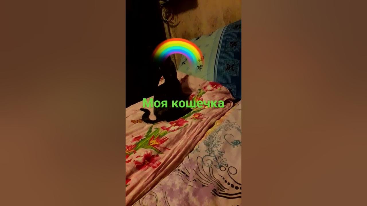 Моя прелесть - YouTube